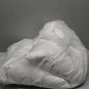 puredown Natural Feather Down Throw Pillow Inserts 20 x 20 (Set of 2, White), Dcor Pillow for Couch, Chairs, Office, Apartments