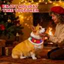 Dog Christmas Outfit Red Festive Holiday Pet Costume Clothes Accessory Light Up Bandana (X-Large)