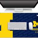 YouTheFan NCAA Michigan Wolverines Logo Series Desk Pad