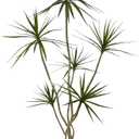 AVLT Single Monitor Arm and Reinforcement Plate