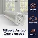 Amazon Basics Square Hypoallergenic Down Alternative Pillow Insert, Machine Washable, Softness and Support, 20 inch, 2-Pack