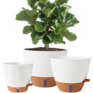 8/10/12 Inch Self-Watering Pots for Indoor/Outdoor Plants - Large Plastic Planter with Drainage Holes, Water Level Indicator & Deep Reservoir, Modern Decorative Flower Pots (White)