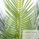5 x Bellacat 2ft Artificial Cycad Tree UV Resistant with Lifelike Bark & Realistic Leaves, 24in Super Full Faux Sago Palm Tree, for Porch Patio Front Door Home Office Decor