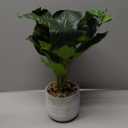 Small Fake Plants Indoor 14.5 Inch Potted Plant Artificial Decor 12 Leaves Faux Plant with Cement Pot Silk House Plants for Home Office Bathroom Kitchen Farmhouse Table Centerpieces Shelf Decor (Green)