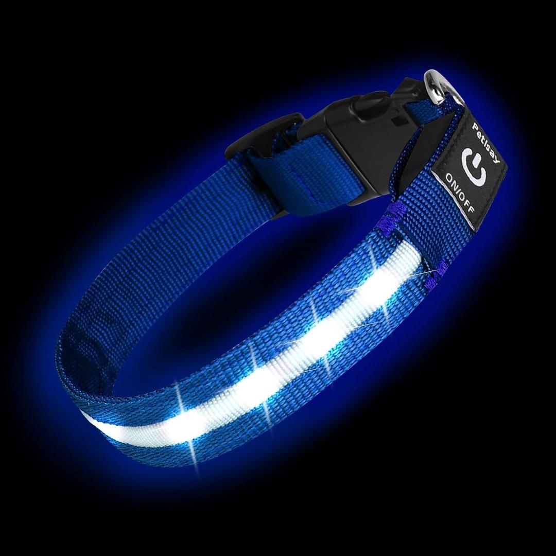Super Bright LED Dog Collar - Fully Waterproof & Adjustable Glow Collar - USB-C Rechargeable for Night Walking, Safety - Flashing Lighted Collar for Dogs(Blue,L/XL) (Large/X-Large (18.5" - 26.5"))