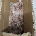 Bedfolks Waterproof Crate Bed, Plush Dog & Cat Bed with Removable Washable Cover, Faux Fur Kennel Pad, 23"x18", Brown