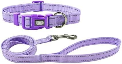 Olahibi Dog Collar Leash Set, Durable Polyester with Reflective Strips, 5ft Matching Leash, Adjustable 4 Sizes for Small Medium Large Dogs.(XS, Purple)