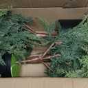 3FT Artificial Cedar Topiary Trees for Front Porch Decor Realistic Xmas Tree Shrubs Faux Cypress Greenery Fake Potted Plants for Outdoor Indoor Door Office Farmhouse Home Decoration (2, Green)