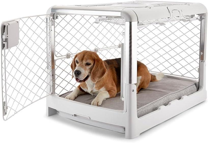DIGGS Revol Collapsible Dog Crate with Wheels - Premium Portable Dog Crate - Safe, Stylish, and Convenient Indoor Kennel (Ash, Medium) (Medium (34.6"L x 22.9"W x 23.8"H))