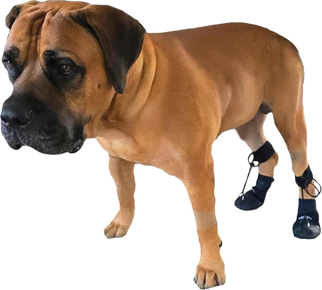 Toe'sUP WAlkaboot No Knuckle Boot/ Prevent dragging Paws Ideal for Pets with Neurological Disorders Causing Front paw knuckling and dragging. (Small 1.5-2" paw Width)