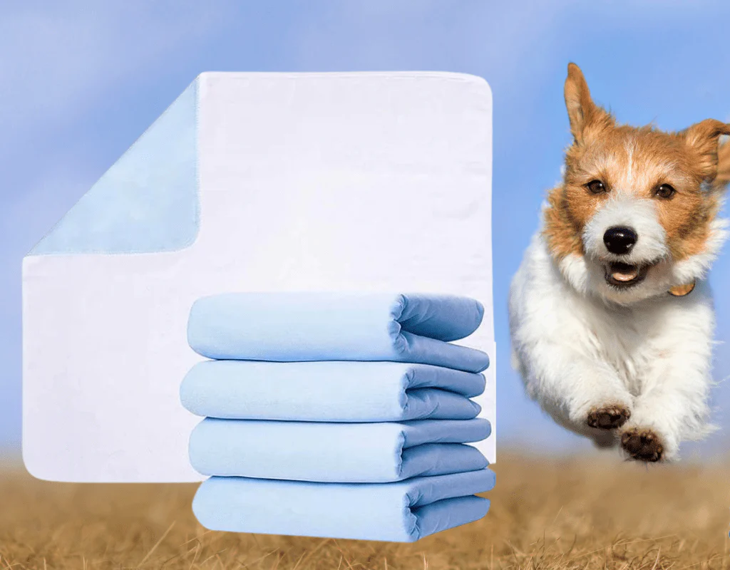 blue dog pee pads