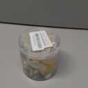 Mixed Sea Shells, 100+ Pcs Beach Seashells Starfish, Various Sizes Ocean Seashells for Fish Tank Vase Fillers, Beach Theme Party Wedding Decor, Candle Making, DIY Crafts