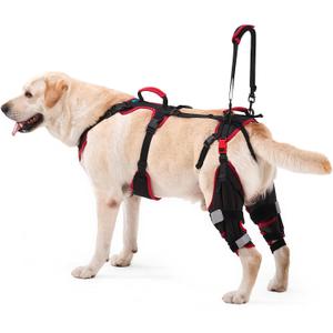 Dog Knee Brace with Lift Harness for Back Legs, Set of 2 Adjustable Non-Slip Support for Large & Senior Dogs, ACL/CCL Injury & Mobility Aid, Black, X-Large
