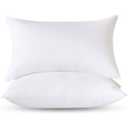 Empyrean Bedding Throw Pillow - 20 x 20 Inches Decorative Pillow Insert - Cotton Blend Outer Shell Indoor & Outdoor Pillows (Pack of 2, White)