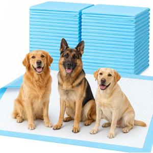 Dog Pee Pads Extra Large 55"X31" Puppy Pads for Dogs XXXXL 40 Count