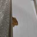 S&Z TOPHAND 36in x 84in Glass Sliding MDF Barn Door with 6.6FT Sliding Door Hardware Kit, 5 Tempered Frosted Glass, Slab Inside Covered with Water-Proof PVC Surface, Simple DIY Assembly