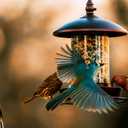 Metal Roof Bird Feeder - Chew Proof for Outdoor Hanging Wild Bird Seeds. Bronze (1.7lb:Bronze)