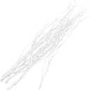 10pcs Dried Birch Twig Decoration Natural Home Decor Branches for Vase Filler DIY Crafts and Party Supplies