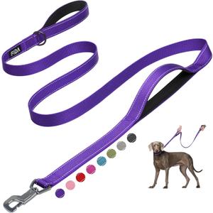 Fida 6 FT Heavy Duty Dog Leash with 2 Comfortable Padded Handles, Traffic Handle & Advanced Easy Snap Hook, Reflective Walking Lead for Large, Medium & Small Breed Dogs, Purple (6 Feet (Pack of 1))