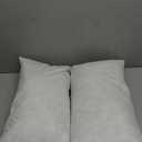 JA COMFORTS 1220 Premium Goose Down Feather Throw Pillow Inserts(Set of 2)-5% Down Filling, High Filling Weight, 250 TC Cotton Cover, Square, White. 