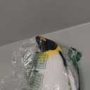 AULUDA Penguin Plush Toy, 10" Stuffed Animal Small Plushie Doll, Soft Fluffy Like Real Penguin Hugging Toy - Present for Every Age & Occasion