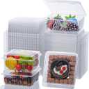 TEMLQPACK 100PCS 4x4x2 Inches Disposable Plastic To Go Containers Charcuterie Boxes Mini Cake Boxes Pie Boxes Bakery Boxes for Salads Pasta Sandwiches