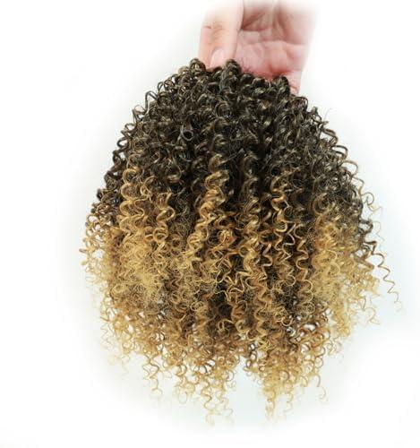 Curly Drawstring Ponytail for Black Women 10 Inch Blonde Afro Kinky Curly Ponytail Extension with Two Clips for Daily Use (T27)