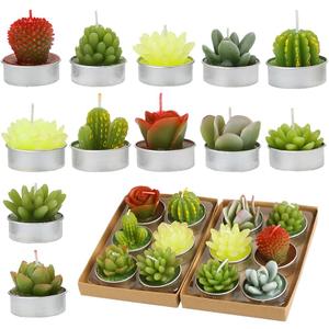 12pcs Cactus Tealight Candles Handmade Delicate Succulent Tea Lights Candle Perfect for Birthday Party Wedding Spa Home Decor Gifts (12pcs Cactus Candles)