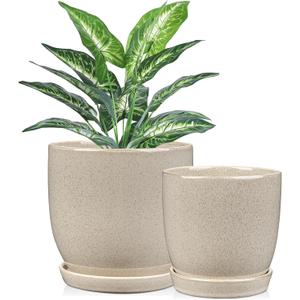 Ceramic Plant Pots 6 Inch + 5 Inch Set of 2, Flower Plants Pot with Drainage Holes and Saucers Tray White Planter Garden Pot for Succulent Cactus Home Decoration Gift Indoor Outdoor