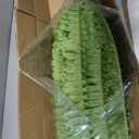 FOREST PRINCE 50" Artificial Boston Ferns, Fake Bush Plants, Large Faux Ferns with 96 Fronds for Outdoors Home Decor