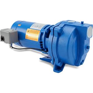 J10S Shallow Well Jet Pump, 1 HP Self-Priming Cast Iron Water Pump