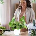 5pcs Round Acrylic Trellis for Climbing Plants, Small Plant Trellis House Plant Accessoriess for Indoor Outdoor Pothos Vine Ivy Monstera Hoya Flowers