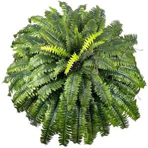 Fake Ferns Artificial Plants Large, 51" Faux Boston Fern with Vines & 66 Fronds, Lifelike Artificial ferns for Outdoors & Indoors, Ideal for Planters Home Porch Entrance Hall Decor, Hanging or Potted