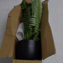 Fake Fern Potted Plant Artificial Boston Ferns in Pot 35 Leaves for Outdoors & Indoor Faux Fern Bush Plant 20inch for Patio Garden Farmhouse Windowsill Office Living Room Decoration Home Decor (Large)