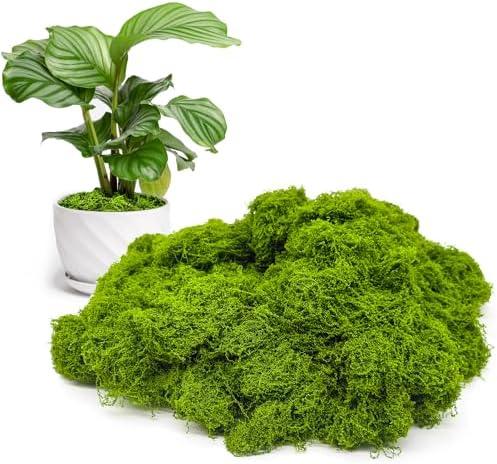 Aspamms Fake Green Moss for Potted Plants Indoor, 5.3oz Artificial Moss for Crafts, Faux Moss Decor for Fairy Garden, DIY Decorative, Model Making, Walls, Glass Containers, Home, Pack Of 2
