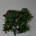 Aodaer 6 Pieces Hawaiian Leis Necklace Bulk Garlands Tropical Artificial Flowers Leaf Leis Luau Party Decorations for Beach Themed Party Supplies
