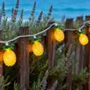8.5Ft Tropical Summer Beach Pineapple Lights, 10L LED Pineapple String Lights Plug in for Indoor/Outdoor Home Table Porch Pergola Tiki Bar Luau Aloha Hawaiian Party Lights