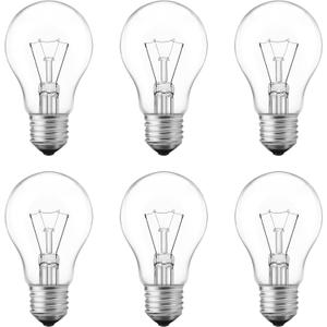 75 Watt Incandescent Light Bulbs, A19 Incandescent Bulb 60+ watts, Shatter-Resistant and Durable, Warm White Light (6-Pack)