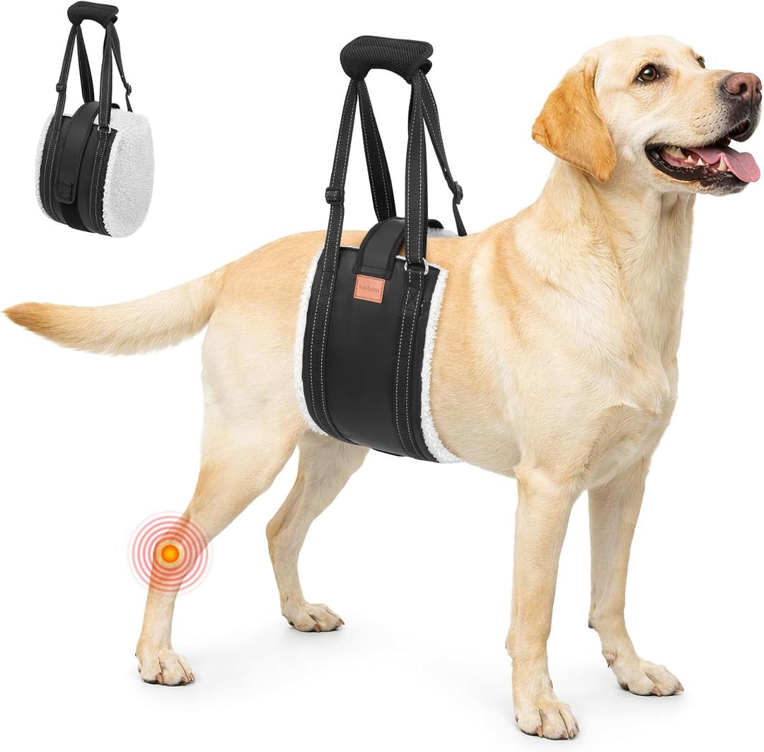 LOOBANI Dog Lift Harness for Back Legs, Portable Dog Sling for Large Dogs Hind Leg Support, Comfortable Leg Support Assistance for Elderly Dogs with Hip, ACL Brace, Senior, Injured, Large