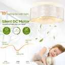 Boho Coastal Ceiling Fan with Lights and Remote, Caged Shell Shade, Medium