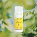 L'OCCITANE Roll-On Aluminum Free Deodorant, Reduce Body Odor, Refreshing Verbena, Eaves De Baux, Without Alcohol and Aluminum Salts, Made in France (1 Fl Oz (Pack of 1))