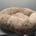Hachikitty Calming Donut Cuddler Dog Bed, Large, 30'' (Taupe)