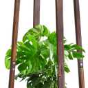 2 Tier Round Plants Stand Pedestal Indoor ,Wood Single Plant Shelf Corner,12 Inch Plant Pot Holder Rack ,Tall Flower Stands Shelves for Living Room Patio Balcony Outdoor,Rustic,Walnut