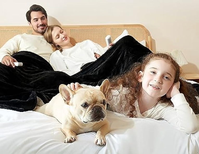 EHEYCIGA Heated Blanket Electric Blanket Queen Size - Heating Blanket With 9 Heating Levels & 10 Hours Auto Off, Soft Cozy Sherpa Washable Dual Control Blanket With Fast Heating, 84 X 90 Inches