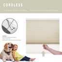 Changshade Cordless Cellular Shades, Light Filtering Honeycomb Blinds for Indoor Windows Bedroom, Pull Down Pleated Accordion Blind Easy Install, Shade Size 30.5" Wx72 H, Beige