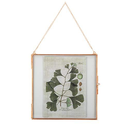 NCYP Small Hanging Glass Floating Frame for Pressed Dried Flower, Certificate, Photo, Picture, Plant Specimen - 8 x 8 Inch, Rose Gold, Home Vertical Decor (Glass Frame Only)