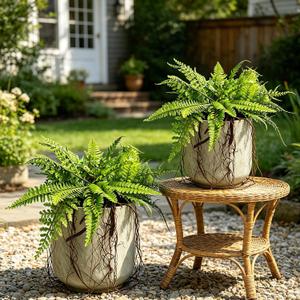 Hrobek 2 Pack Ferns Artificial Hanging Plants for Outdoor Fake Faux Fern Plants with Roots, UV Resistant Greenery Plants for Indoor Home Patio Porch Decor