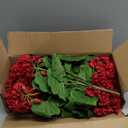 FOREST PRINCE 4 PCS 18" Artificial Geraniums for Outdoors, UV Resistant Red Silk Flowers for Window Box Porch Patio Garden Decor, Waterproof Ruby Red