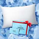 Ice Cooling Pillowcase for Hot Sleepers, Instantly Cool, Stays Cold All Night, Softer Than Silk Pillow Cases, Pillow Covers with Invisible Zipper, Gift for Men & Women - Standard Size, White (1 Pack)