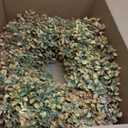 26" Artificial Fall Boxwood Wreath for Front Door Decoration(Autumn Orange)